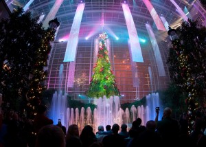 Christmas - Nighty Tree Lighting Show